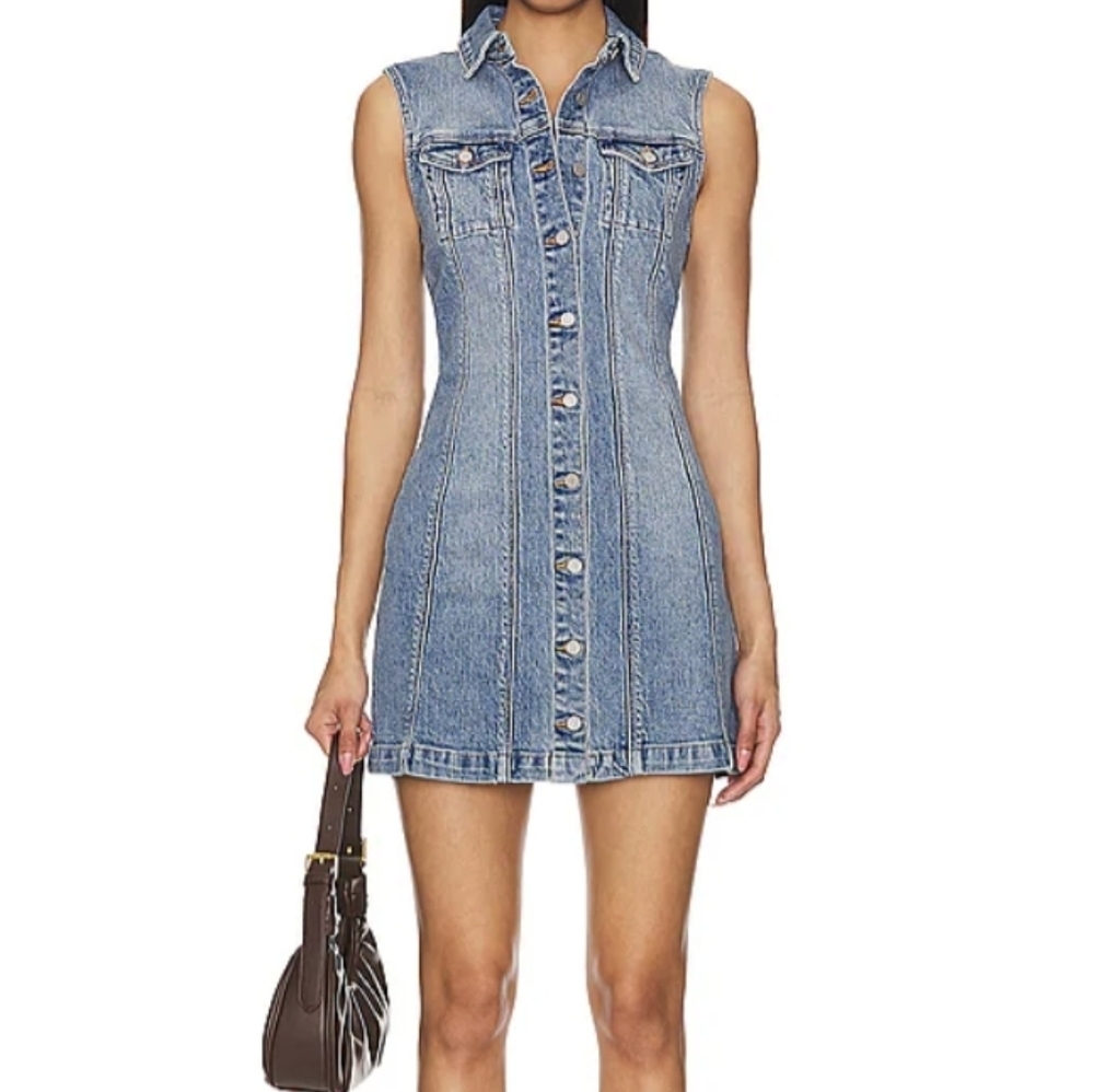 A Brand Lula Sleeveless Denim Button-Up Dress